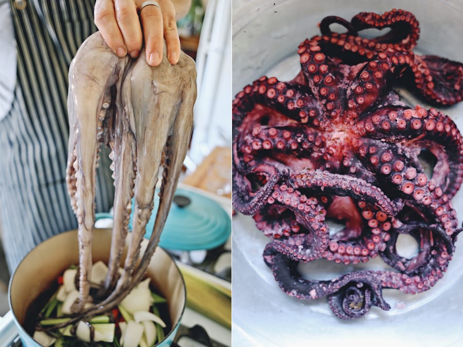 Grilled Octopus and Fennel Citrus Salad