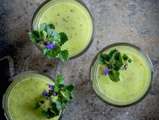 Fresh Dandelion Fruit Smoothie