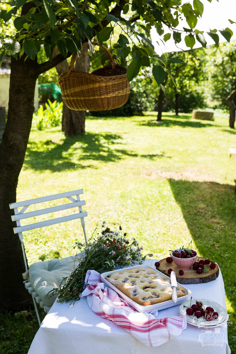 sour cherry pie from the Taste of Memories countryside kitchen