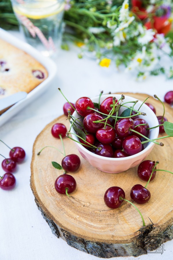 Hungarian Sour Cherry Cake