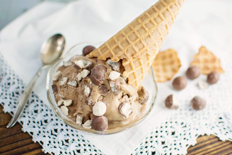 Malted Chocolate Ice Cream