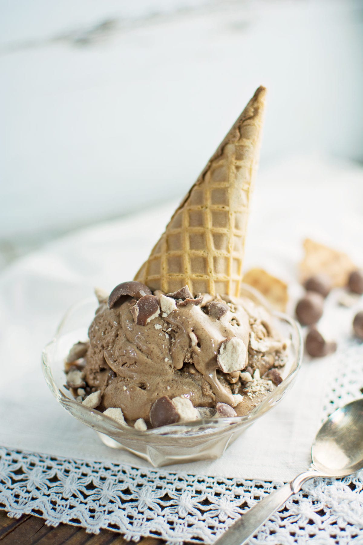 Malted Chocolate Ice Cream