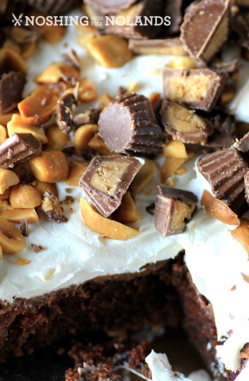 Best-Reeses-Peanut-Butter-Chocolate-Cake-by-Noshing-With-The-Nolands-3-Custom-2