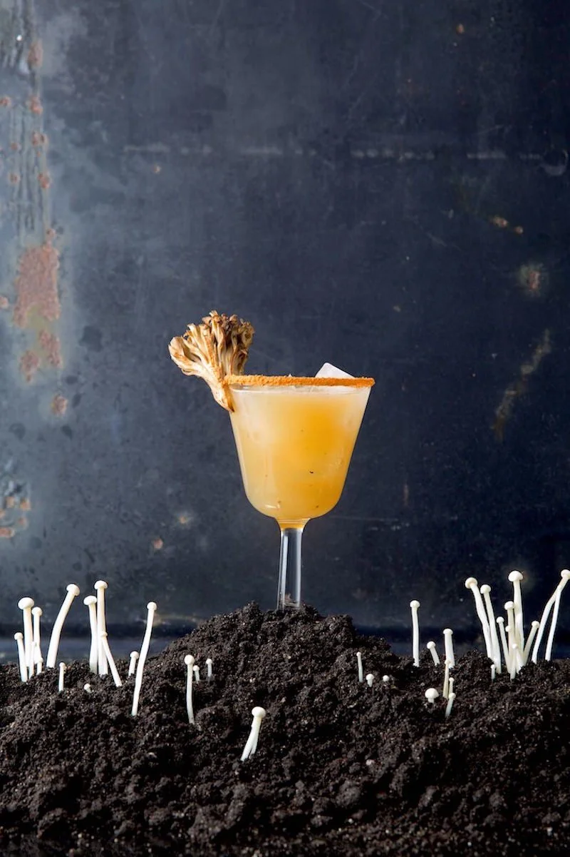 Fungus-Cocktails_2000x3000