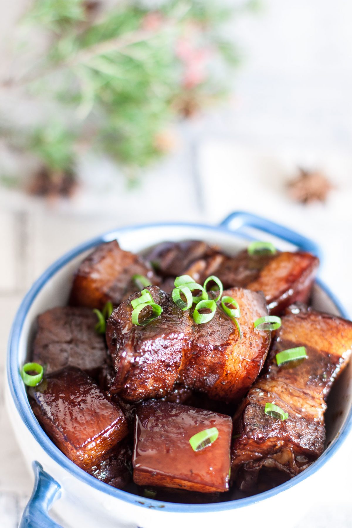 Braised Soy Sauce Pork Belly