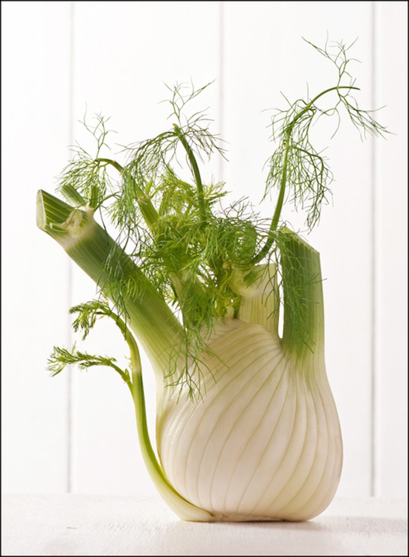 fresh+fennel+bulb