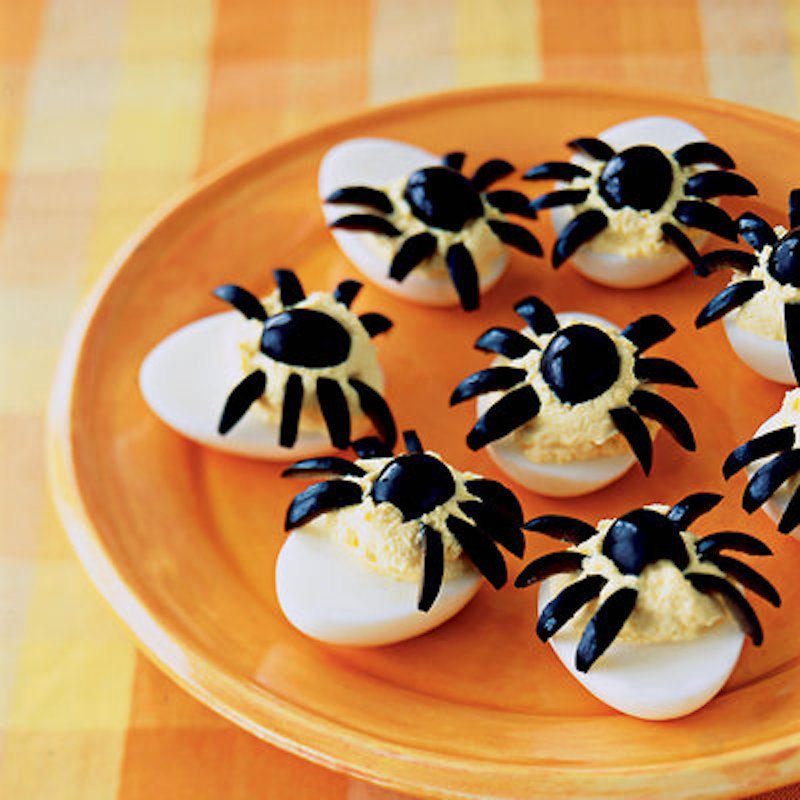 spider-eggs