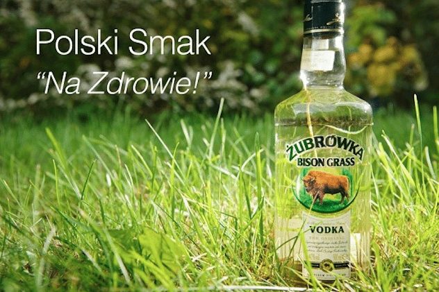 The Ten Most Eccentric Vodka Flavors