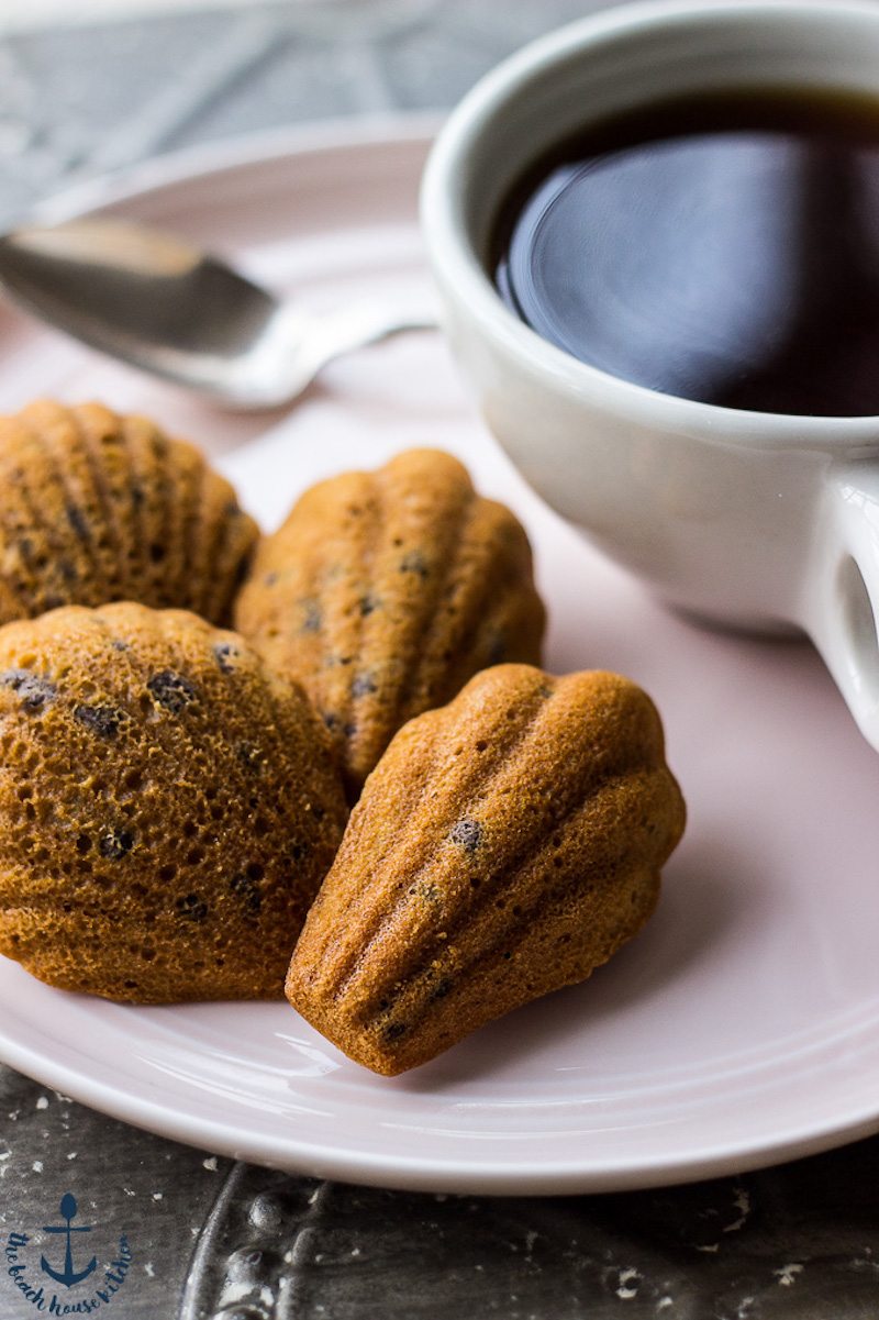 Madeleines-1-of-1