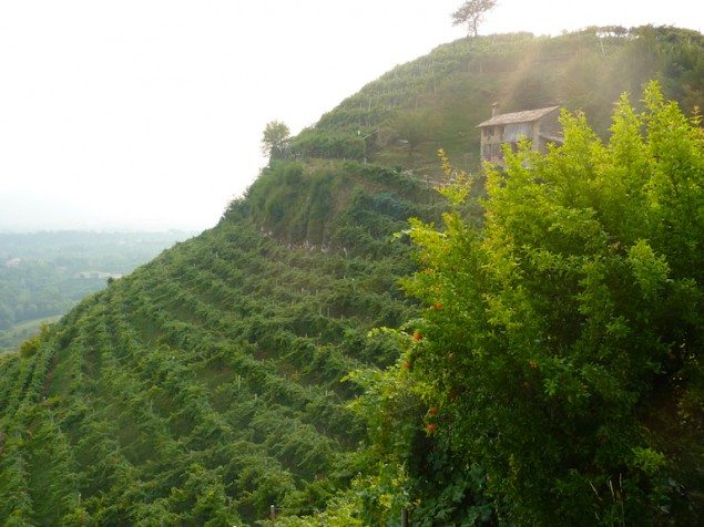 Exploring the Home of Italy’s Favorite Sparkling Wine – Prosecco
