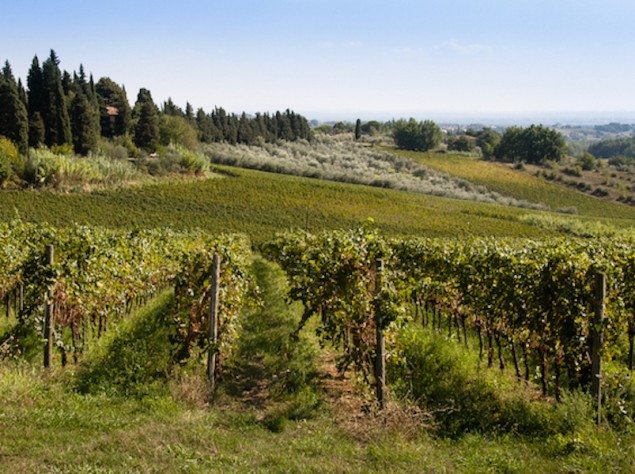 Top Twelve Undiscovered Wines of Northeastern Italy