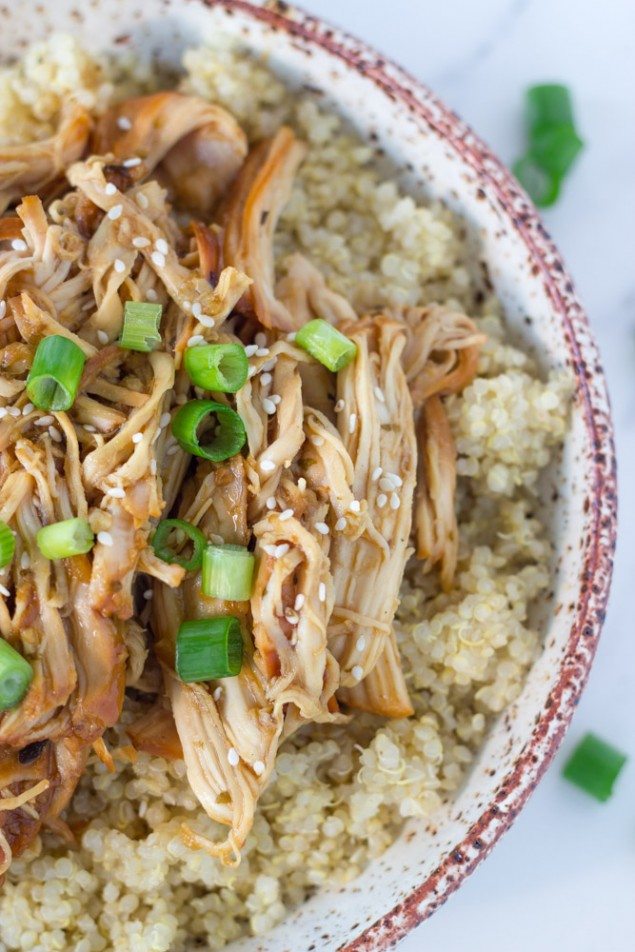 Slow Cooker Teriyaki Chicken