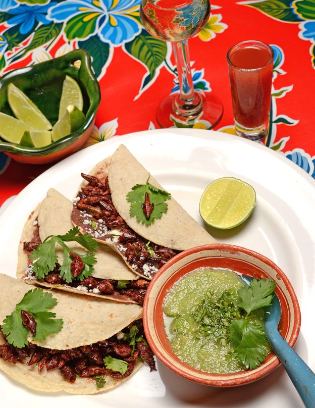 El Arrayan roasted cricket tacos