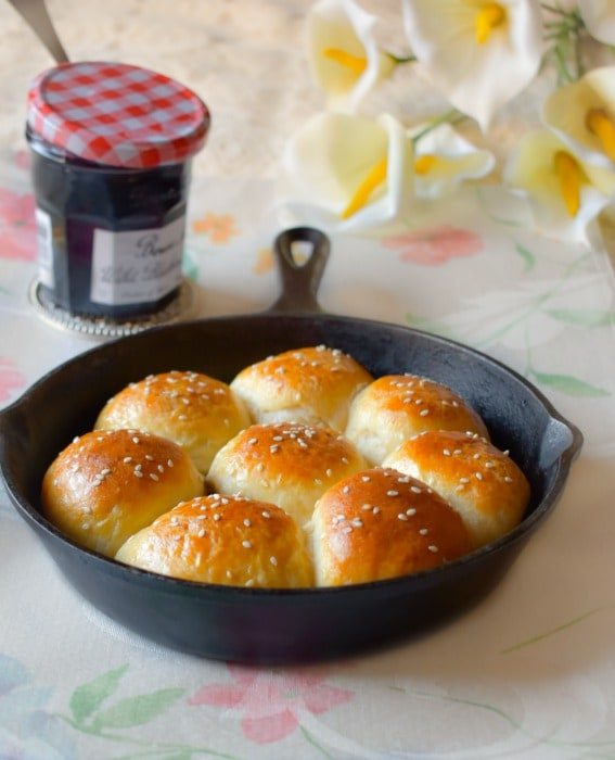 Blueberry and Turkey Rolls