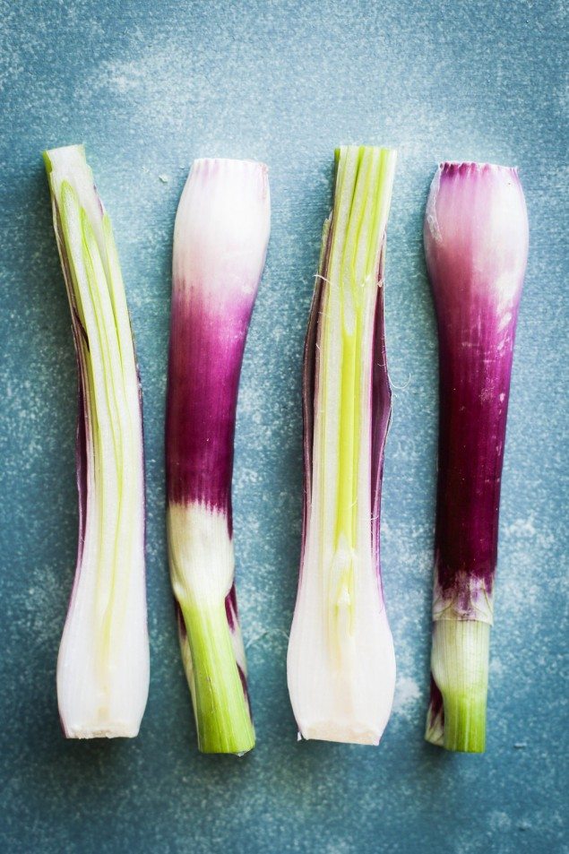 Charred Spring Onion Linguine