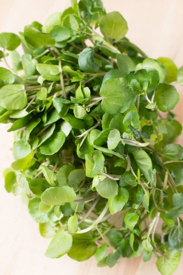 Watercress and Ricotta Tomato Tart