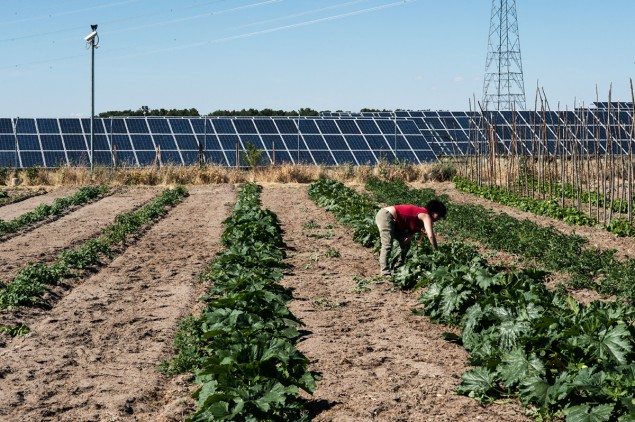 This beautiful organic garden adds a bit of Mexican agriculture to Spain.