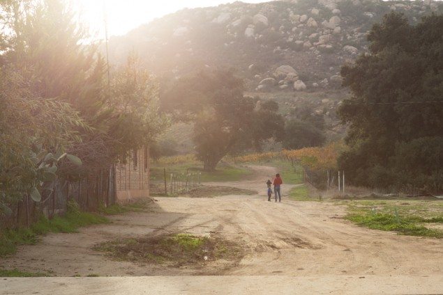 Tostadas and a Trip Through Ensenada