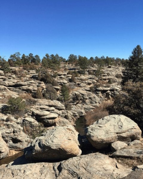 5 Favorite Hikes Less than an Hour from Denver