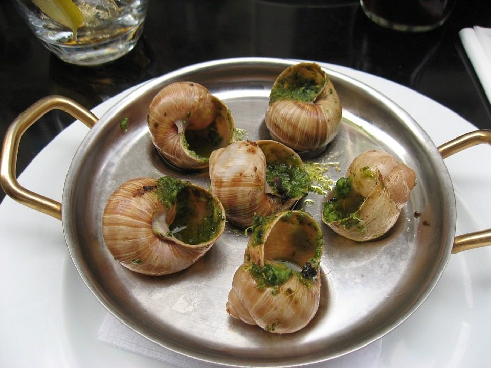 escargot