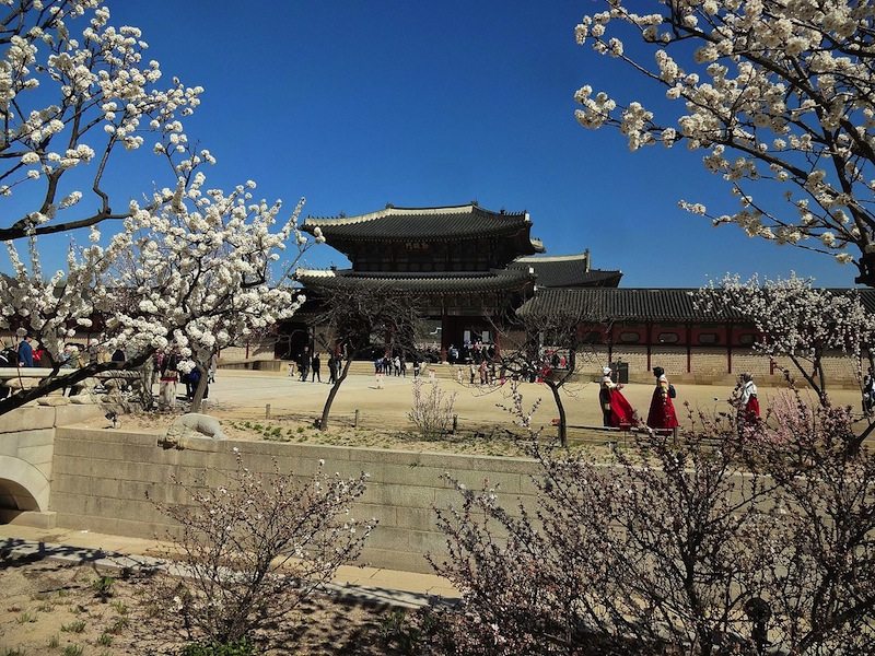 Seoul's Gyeongbokgung Palace 