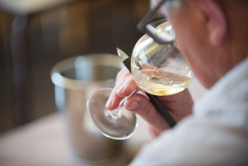 Focus on Chardonnay in Meursault, France