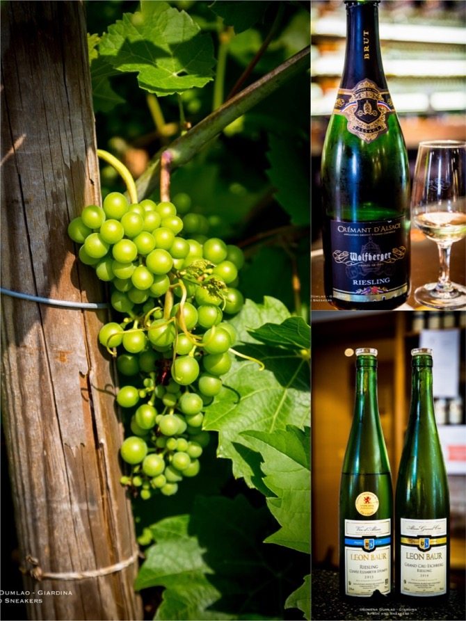 Tastes of Alsatian Wines in Eguisheim, France