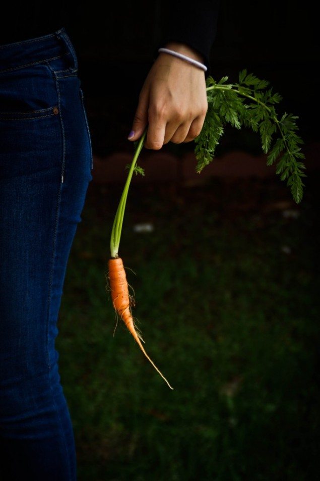 Carrot And Beet Curry