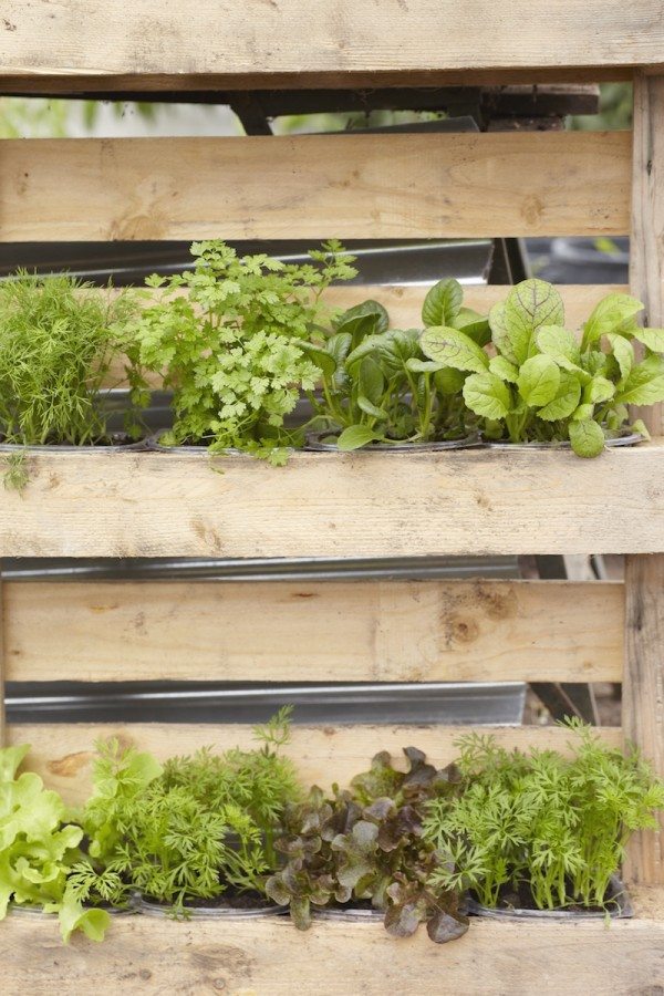 It's (Already) Time to Start Planning Your Vegetable Garden