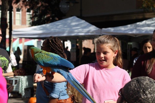 soda city saturday's farmers market