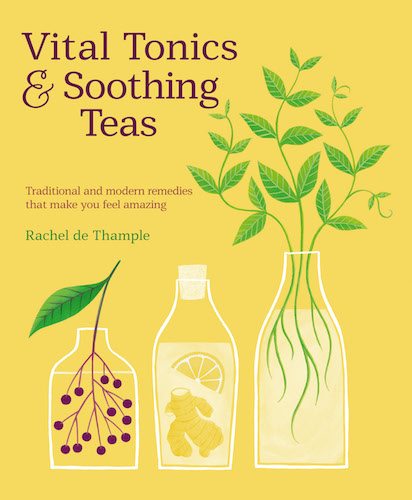 Vital Tonics and Soothing Teas: Healing Food Hacks