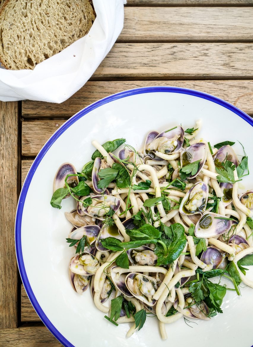 Clams with Semolina Pasta and Lemon Myrtle