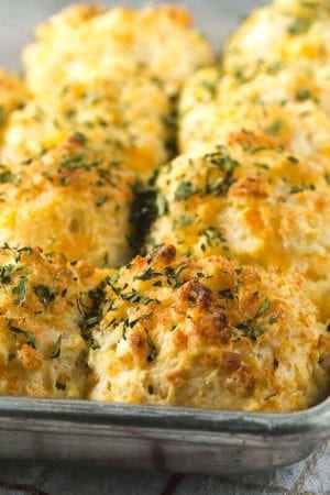 Cheddar-Garlic Biscuits