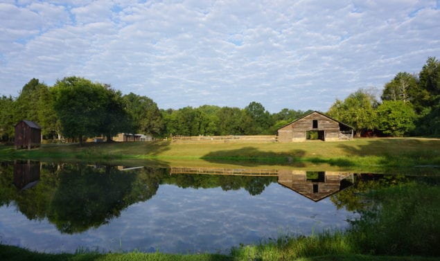 Barnsley Resort - An Antebellum Estate and Food Lovers Escape in North Georgia