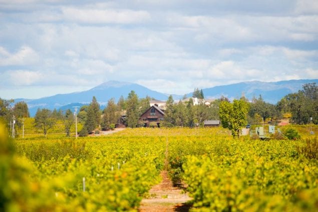 California Wines for Any Summer Meal