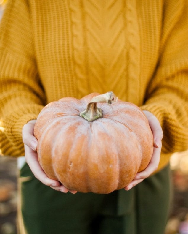 The Campbell Family's Pumpkin Bread