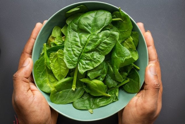 The Baxter Family's Spinach Quiche