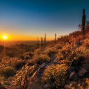 Experience Scottsdale - Hiking the Trails