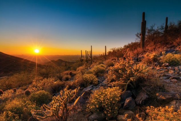 Experience Scottsdale - Hiking the Trails