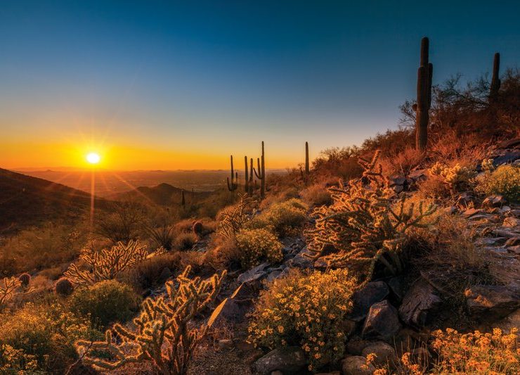 Experience Scottsdale - Hiking the Trails