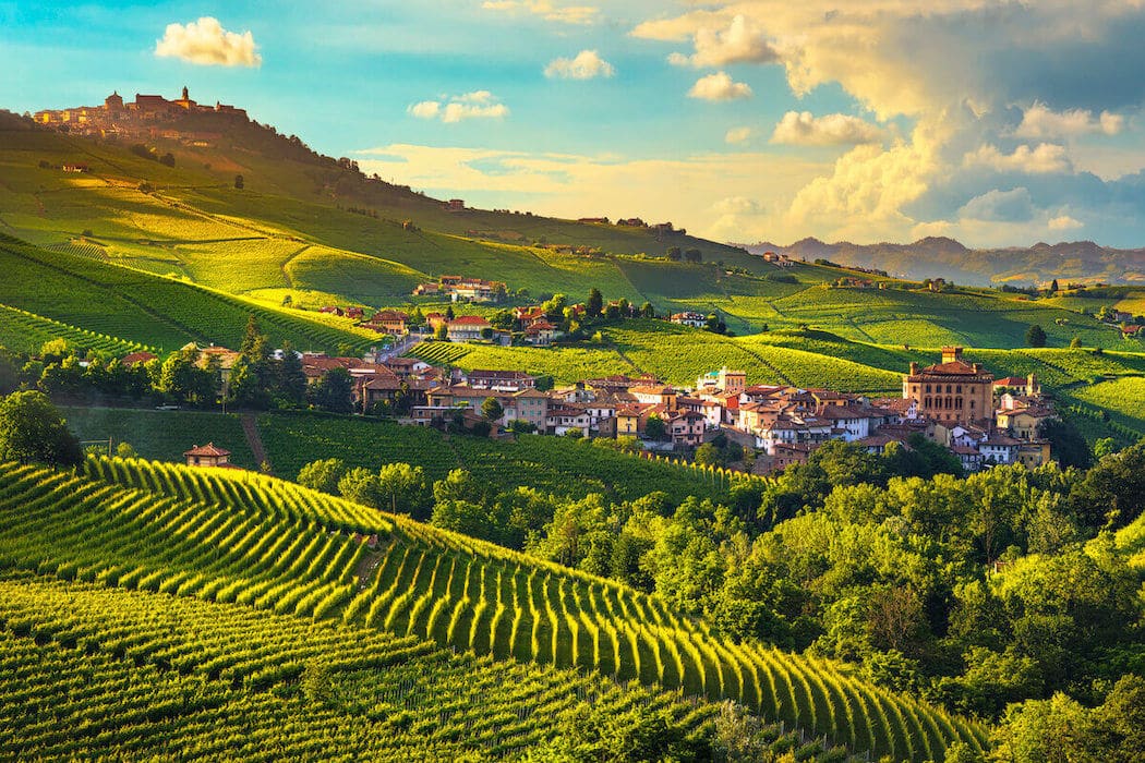 Italian Wine Region