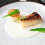 Miso Cod With Braised Daikon- Image Courtesy Brin Hanson