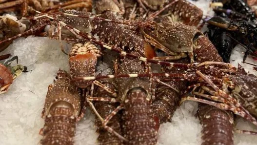 Seafood Market Materia Prima Granada
